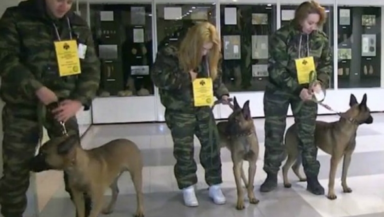 Η αστυνομία της Σιβηρίας έχει κλωνοποιημένα σκυλιά (pics)