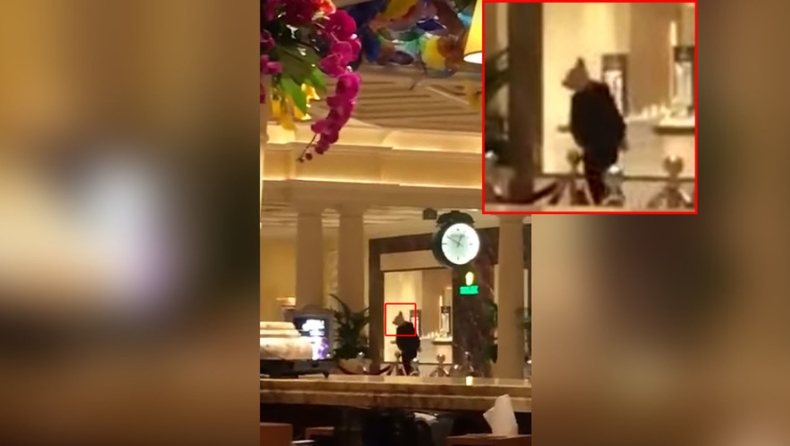 Video από την ληστεία σε καζίνο του Las Vegas (vid)