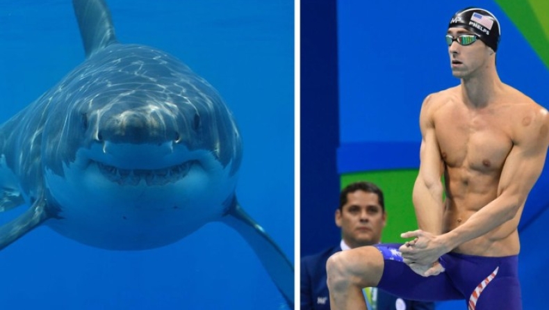 Ένας ειδικός εξηγεί τι θα γινόταν αν ο Φελπς όντως κολυμπούσε με λευκό καρχαρία (vid)