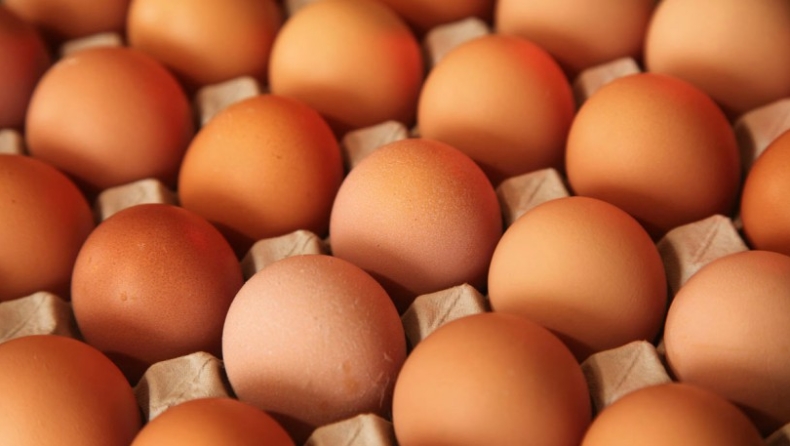 Ολλανδία: Συλλήψεις δύο υπόπτων σε έρευνα για μολυσμένα αυγά
