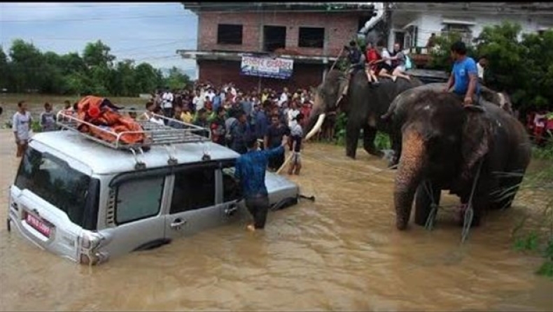 Νεπάλ: Ελέφαντες διέσωσαν 600 ανθρώπους από πλημμύρες