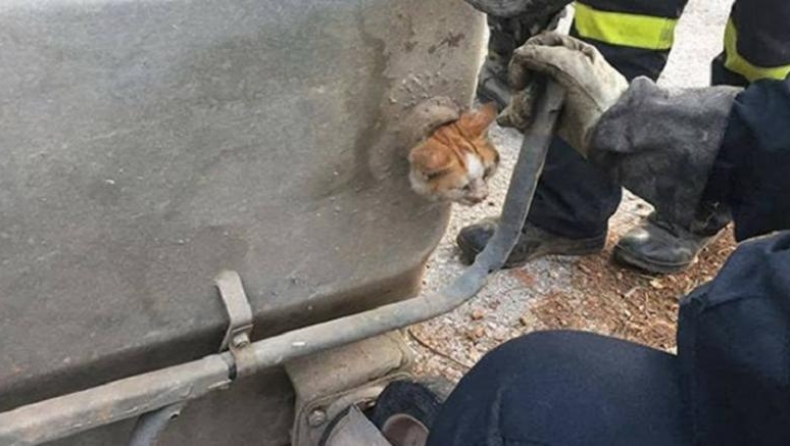 Η προσπάθεια πυροσβεστών να απεγκλωβίσουν μία γάτα από κάδο στη Βάρη (pics)