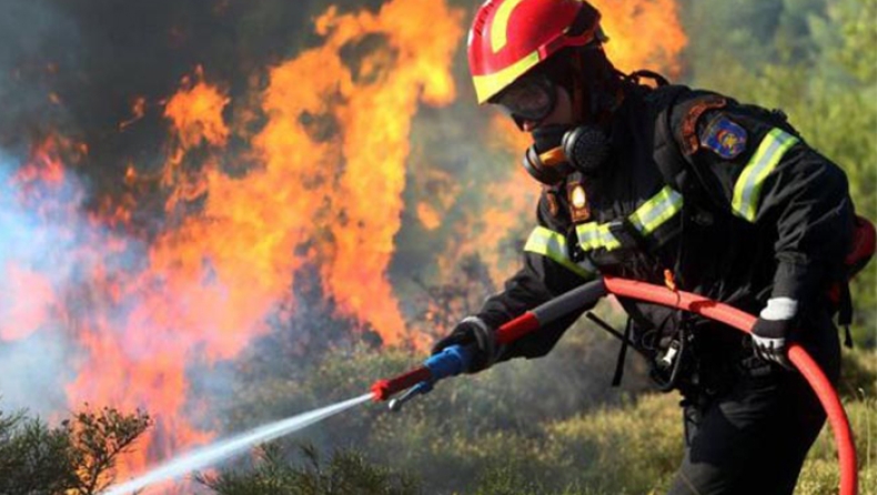 Πάνω από 2.000 αστυνομικοί διατέθηκαν για υποστήριξη της Πυροσβεστικής