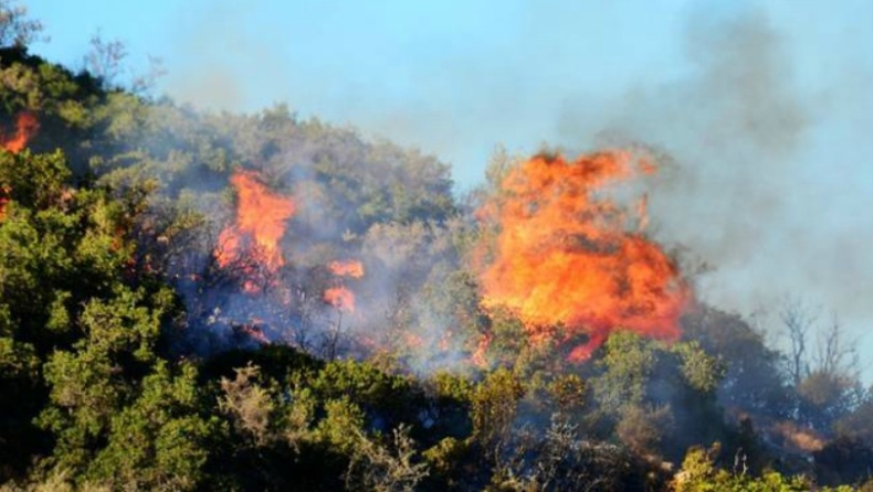 Ζάκυνθος: Νέα μεγάλη πυρκαγιά στο Κορίθι