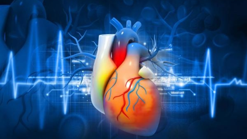 Έλληνες ερευνητές βρήκαν την απάντηση στην καρδιακή ανεπάρκεια