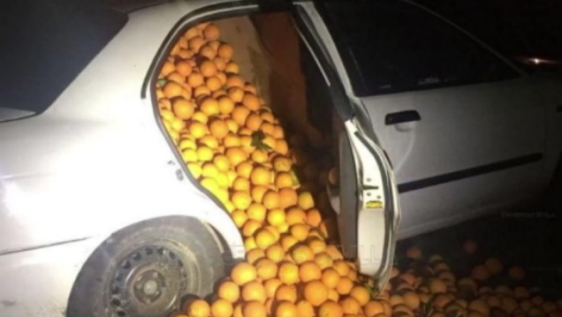 Φόρτωσαν 2 αμάξια με 4 τόνους κλεμμένα πορτοκάλια (pics & vid)