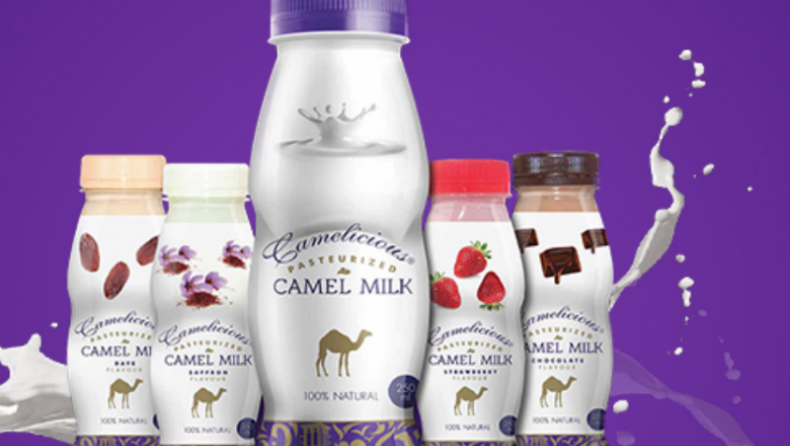 Στο Ντουμπάι πουλάνε βρεφικό γάλα από καμήλα