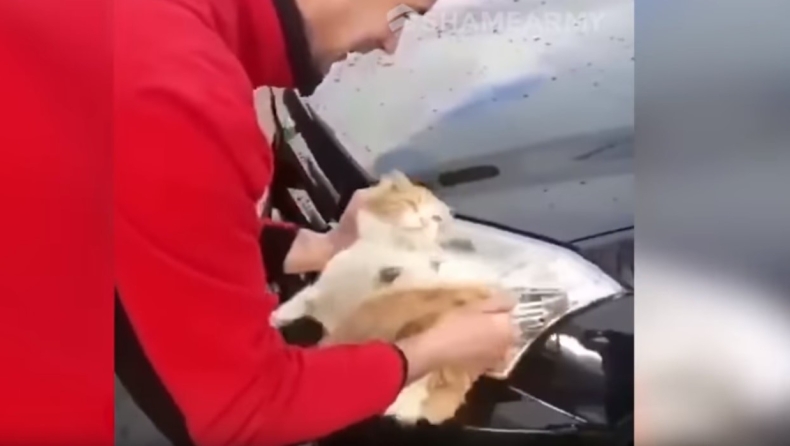 Ρώσος πλένει τη Mercedes του με μια γάτα! (vid)