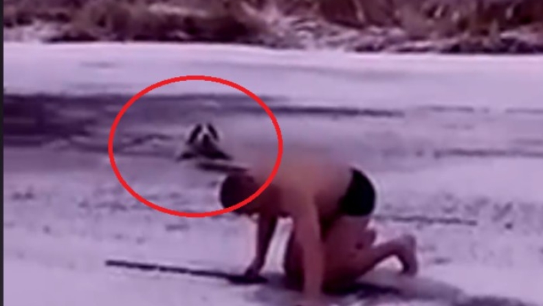 Άνδρας σώζει σκύλο που πνιγόταν σε παγωμένη λίμνη! (vid)