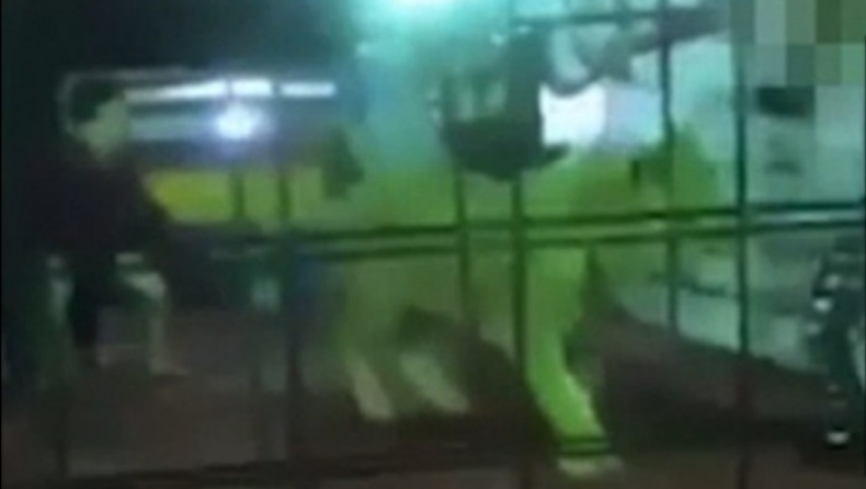 Αιχμαλωτισμένο λιοντάρι επιτέθηκε σε επισκέπτες ζωολογικού κήπου της Σαουδικής Αραβίας (vids)