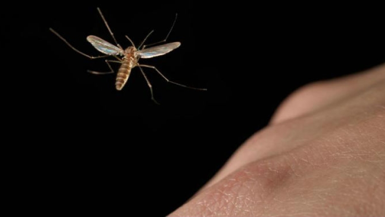 Eφαρμογή τεχνητής νοημοσύνης προειδοποιεί... όταν πλησιάζει κουνούπι!