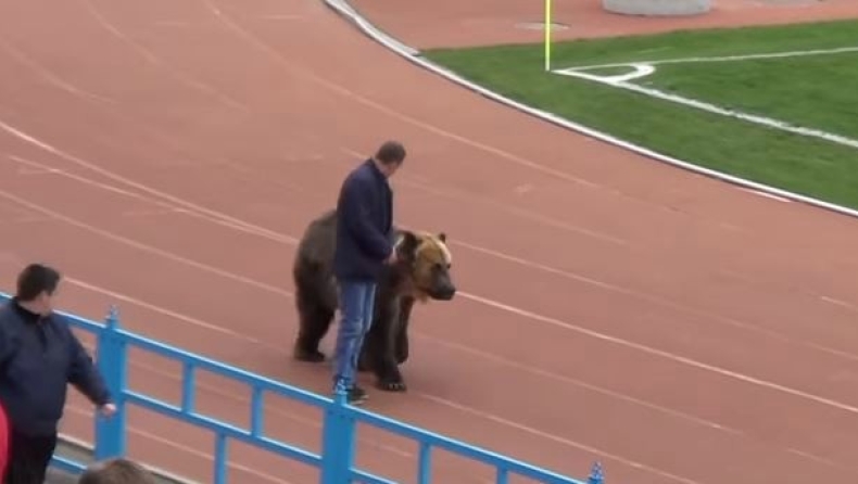 Έφεραν αρκούδα σε ποδοσφαιρικό αγώνα στη Ρωσία και οργάνωσε την εξέδρα (vid)