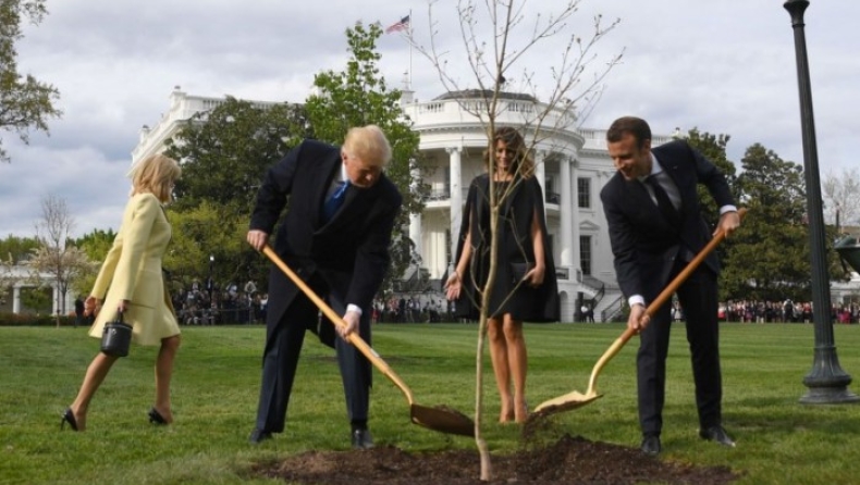 Αναζητείται το δέντρο που φύτεψαν Μακρόν-Τραμπ στο Λευκό Οίκο (pic)