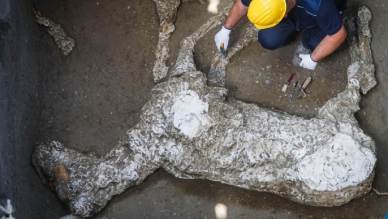 Αρχαιολόγοι ανακάλυψαν τα απομεινάρια αλόγου που είχε θαφτεί στις στάχτες της Πομπηίας για αιώνες (pics & vid)