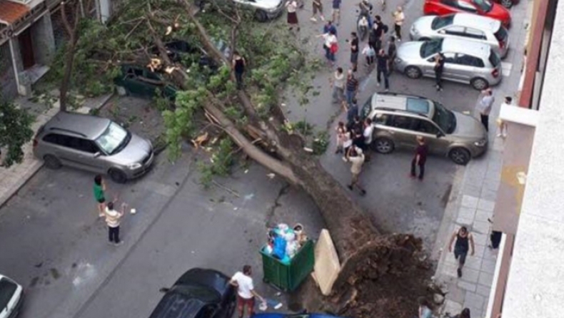 Τεράστιο δέντρο καταπλάκωσε οχήματα στο κέντρο της Θεσσαλονίκης (pics)