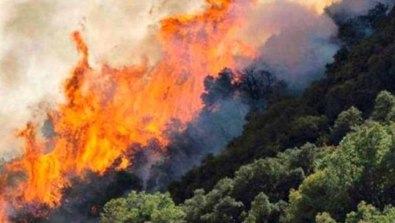 Υπό έλεγχο τέθηκε η πυρκαγιά στην Αθηνών - Σουνίου