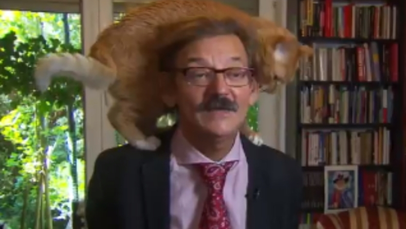 Σκαρφάλωσε γάτα στο κεφάλι του κι εκείνος συνέχισε να μιλάει κανονικά σε live σύνδεση (vid)