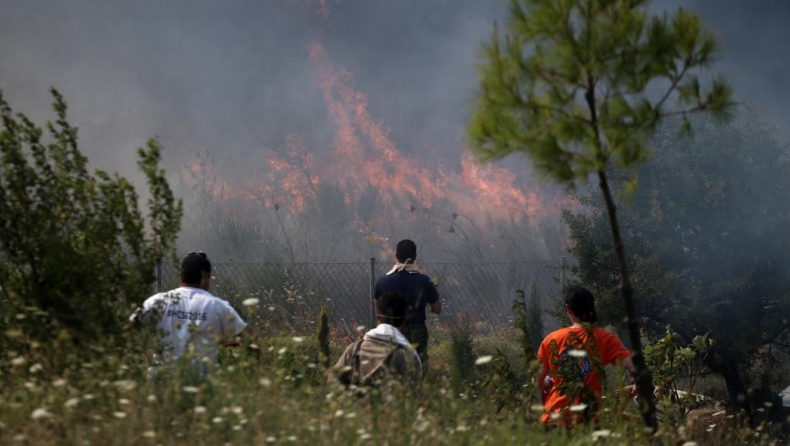 Ανεξέλεγκτη η φωτιά στην βόρεια Εύβοια: Μάχη για να μην φτάσει στα Ψαχνά (pics & vids)