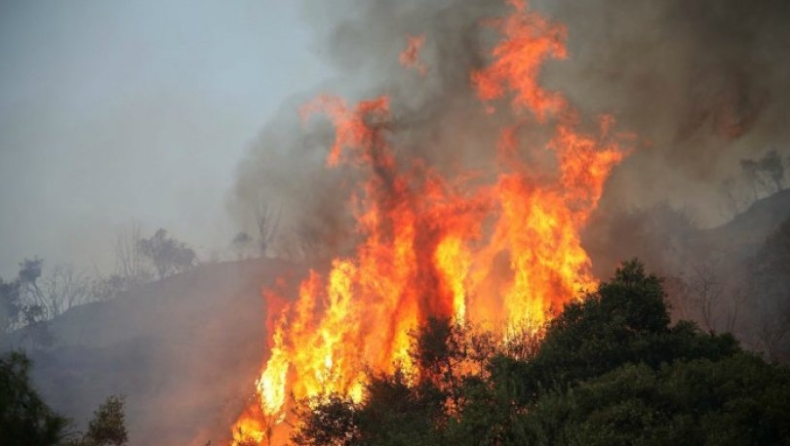 Κίνδυνος πυρκαγιάς σε Αττική και Εύβοια