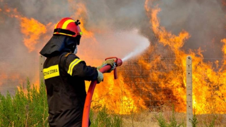 Σε ύφεση η πυρκαγιά στη Δαφνιώτισσα Αμαλιάδας