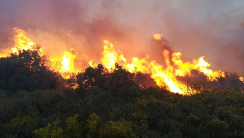 Πυρκαγιά στα Δικαστικά Μαραθώνα κοντά σε κατοικημένη περιοχή