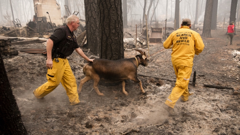 Τουλάχιστον 31 νεκροί από τις φωτιές στην Καλιφόρνια