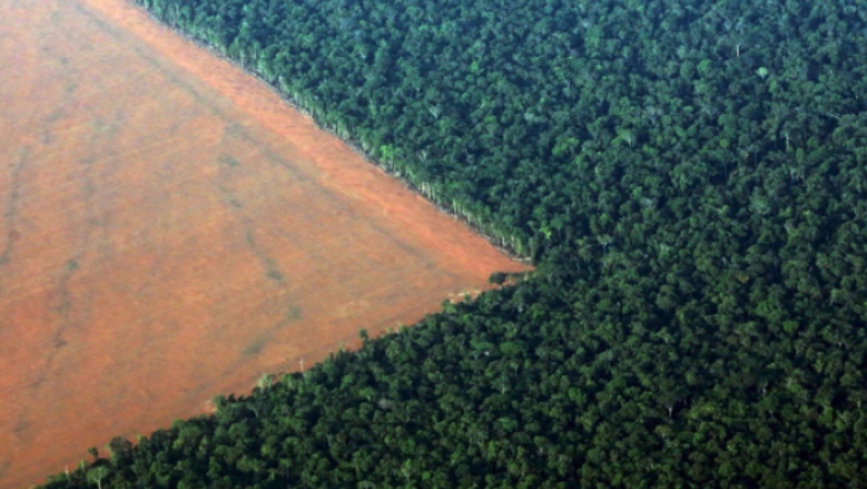 Το τροπικό δάσος του Αμαζονίου μειώθηκε το 2017 όσο πέντε φορές η συνολική έκταση του Λονδίνου (pics)