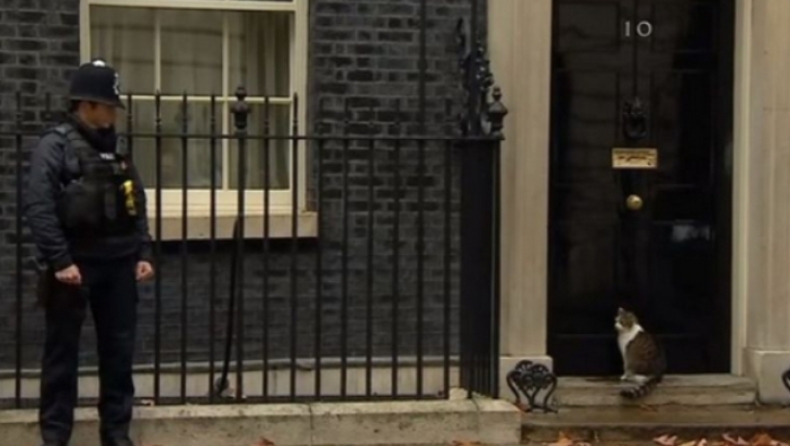 Κλείδωσαν έξω από το σπίτι τον «πρωθυπουργικό» γάτο της Τερέζα Μέι (vid)