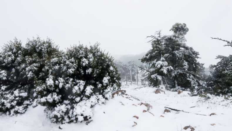 Χιονοπτώσεις στα ορεινά του νομού Καρδίτσας: Ανοιχτοί οι δρόμοι