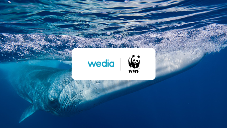 Από την Wedia η online πλατφόρμα υποστήριξης των δράσεων του WWF Ελλάς