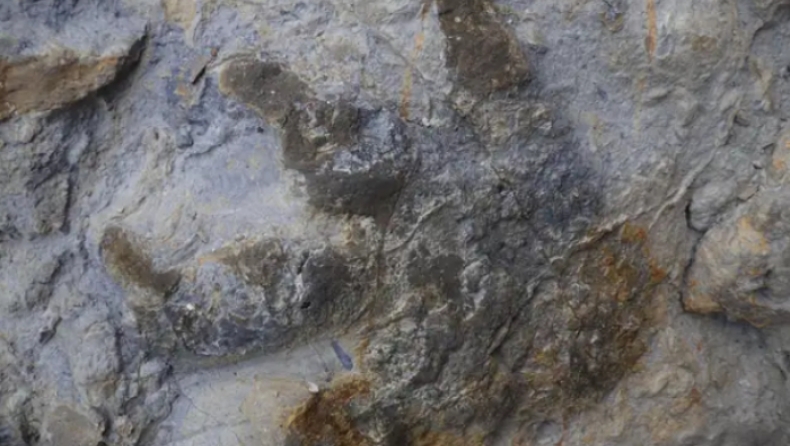 Ανακαλύφθηκαν 85 πατημασιές δεινοσαύρων ηλικίας 100 εκατομμυρίων ετών (pic)