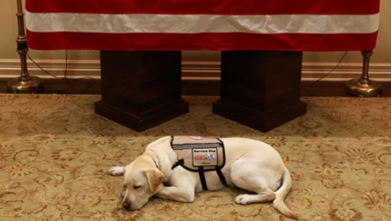 O σκύλος του Τζορτζ Μπους στέκεται πιστός δίπλα στο φέρετρό του (pics)