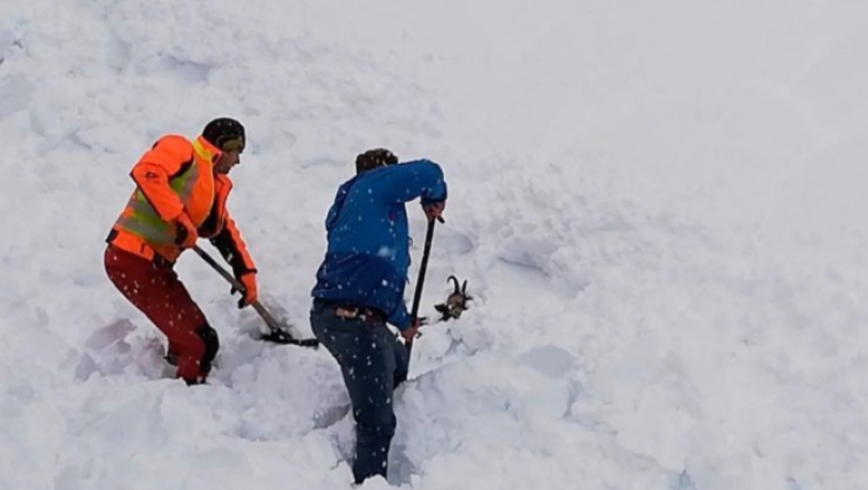 Ηρωική προσπάθεια εργατών να απεγκλωβίσουν άγρια κατσίκα από το χιόνι (vid)