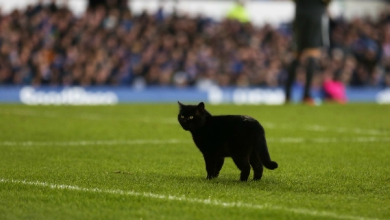 Μία μαύρη γάτα διέκοψε το Έβερτον – Γουλβς για 3’! (vid)
