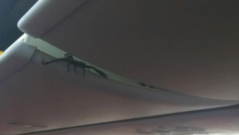Η τρομακτική στιγμή που επιβάτες αεροπλάνου βλέπουν έναν τεράστιο σκορπιό στην οροφή (pic & vid)