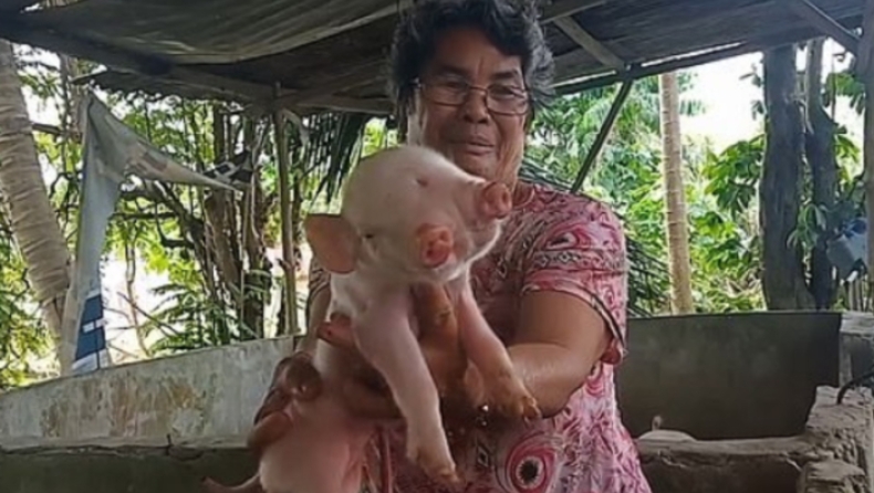 Γουρούνι «τέρας» στις Φιλιππίνες: Γεννήθηκε με δύο κεφάλια, δύο μουσούδες και τρία μάτια (pics & vid)