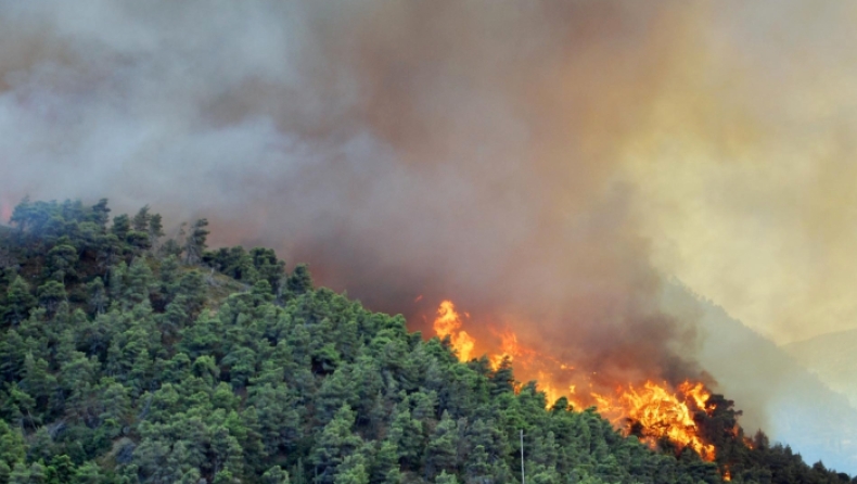 Ελάτη Τρικάλων: Φωτιά σε δασική έκταση κοντά (pic)