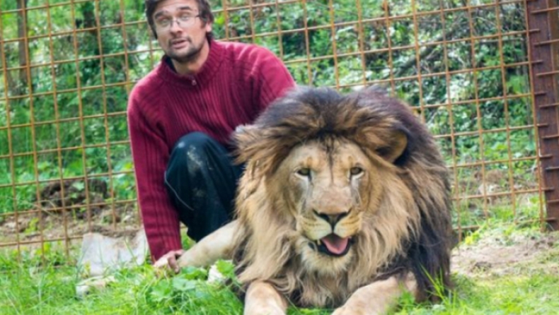 Νεαρός κατασπαράχθηκε από τα λιοντάρια που είχε ως κατοικίδια στον κήπο του (pics & vid)