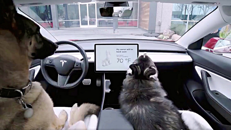 Tesla Dog Mode: Κορυφαία προστασία για σκύλους! (vid)