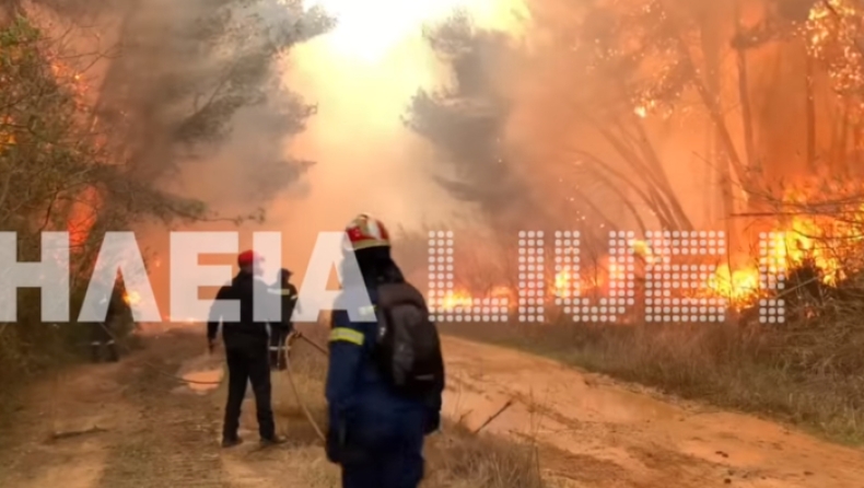 Μεγάλη πυρκαγιά στην Ηλεία: Εικόνες καταστροφής σε προστατευόμενο δάσος (vid)