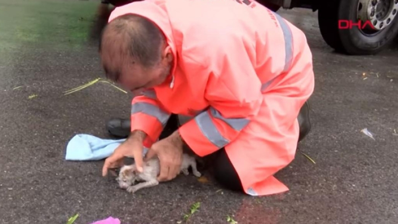Εργάτης σώζει με «φιλί της ζωής» αναίσθητο γατάκι (vid)