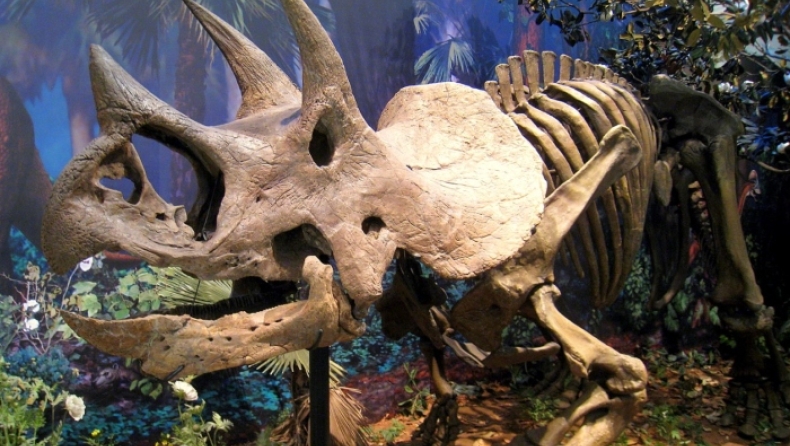 Εργάτες ανακάλυψαν τυχαία απολιθώματα δεινοσαύρου 68 εκ. ετών (pics)