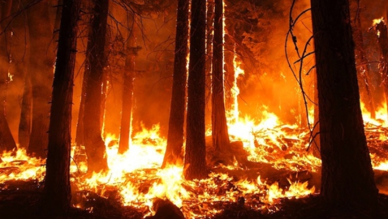 Δραματική κατάσταση με τις φωτιές στη Σιβηρία: Μάχη με τις φλόγες δίνουν 3.000 πυροσβέστες (vids)