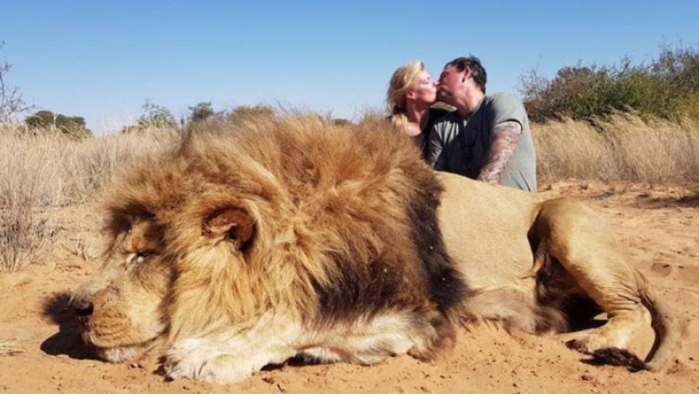 Σάλος από το φιλί κυνηγών σε σαφάρι πάνω από το κουφάρι δολοφονημένου λιονταριού
