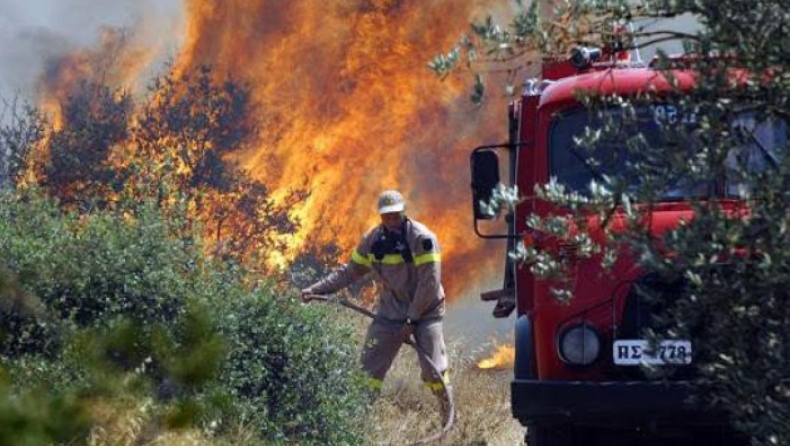 Μεγάλη φωτιά στη Φθιώτιδα: Εκκενώθηκε το χωριό Δίβρη (pic & vid)