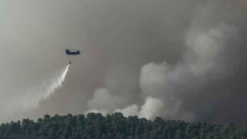 Εύβοια: Ύποπτος για εμπρησμό στα χέρια των αρχών (vid)