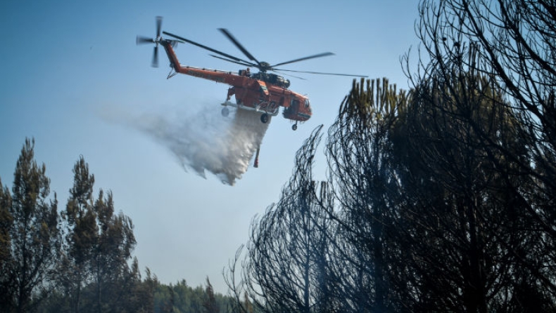 Μάχη με τις φλόγες στη Θήβα: Ανεξέλεγκτη η φωτιά κινείται προς τον Κορινθιακό