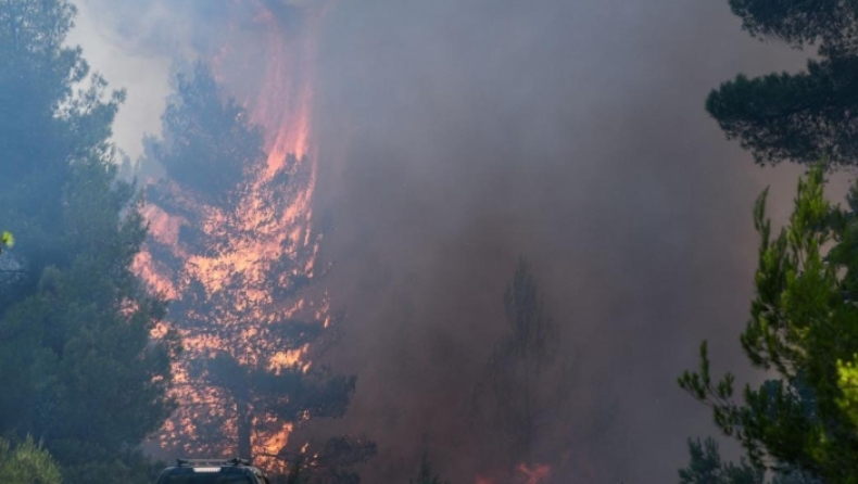 Ενδείξεις εμπρησμού στη φωτιά της Εύβοιας σύμφωνα με την Πυροσβεστική (vid)