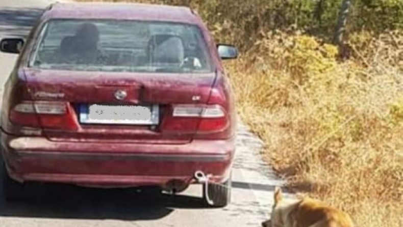 Κρήτη: Συνελήφθη ο ηλικιωμένος που έσερνε τον σκύλο με το αυτοκίνητό του