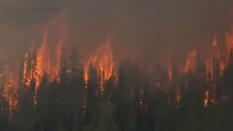 Σιβηρία: Οι δασικές πυρκαγιές μαίνονται σε έκταση 28 εκ. στρεμμάτων (vid)